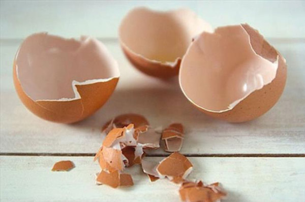 Màng vỏ trứng giúp cải thiện tình trạng đau khô khớp gối do thoái hóa khớp